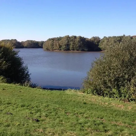 Neu! Modernes Strandgut